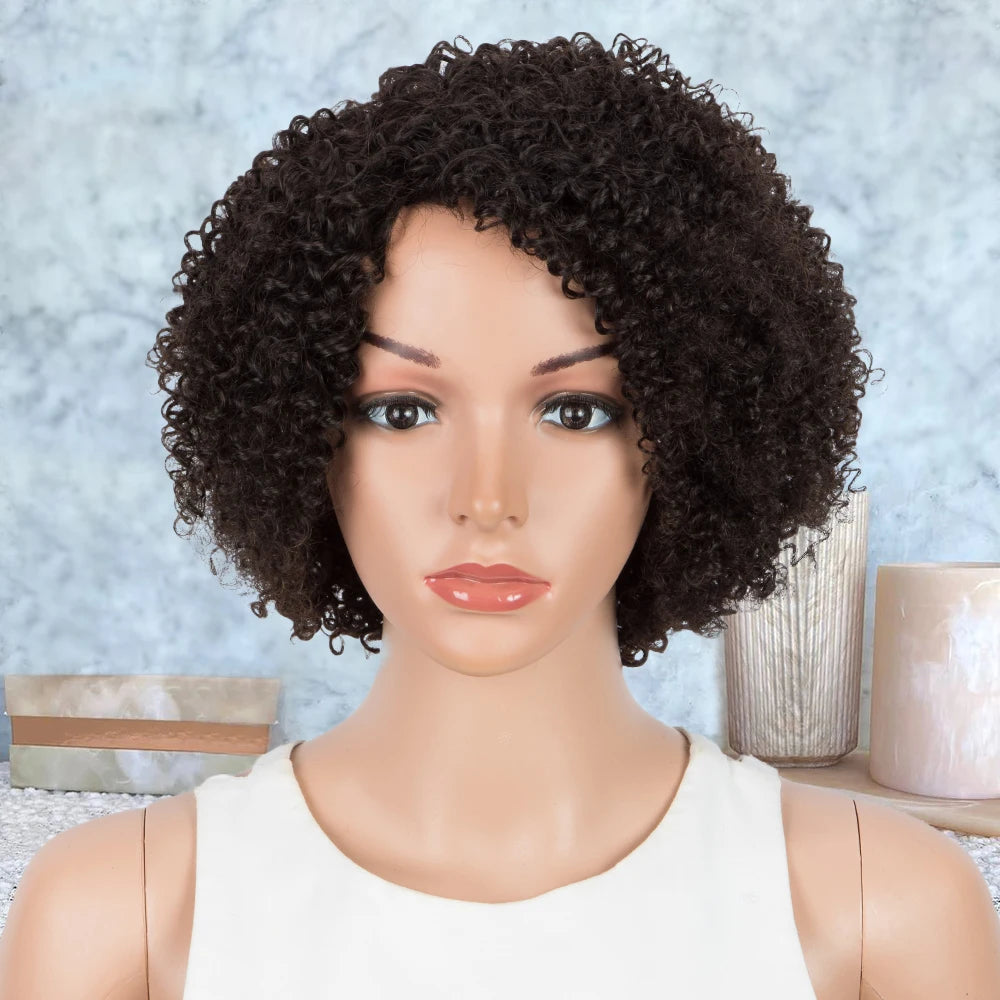 Afro Kinky Curly Wig Brazilian Human Hair Wigs For Women