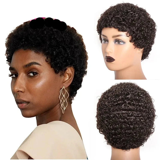 Short Afro Kinky Curly Hair Wigs For Black Women Human Hair African Fluffy Wig